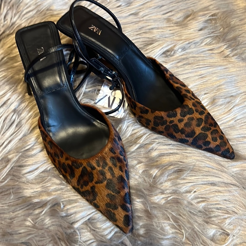 Zara Pointed Toe Heel